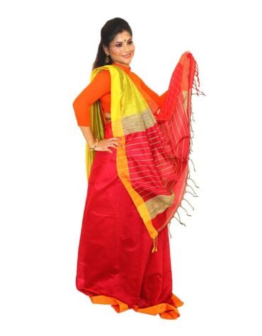 Khadi Cotton Handloom Multicolor Saree